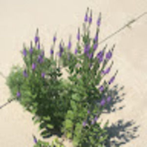 Meet your Posher, Aimee